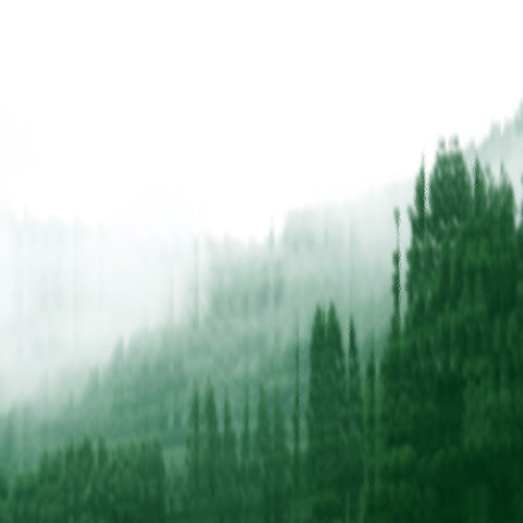 FAR AFIELD